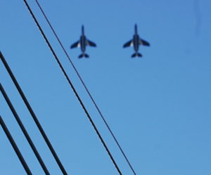 dsc_0050